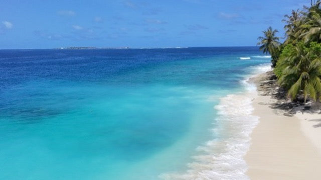 Maldivian Coastline
